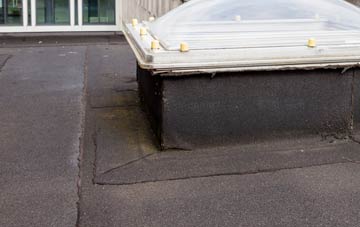 disadvantages of Edale End flat roofs